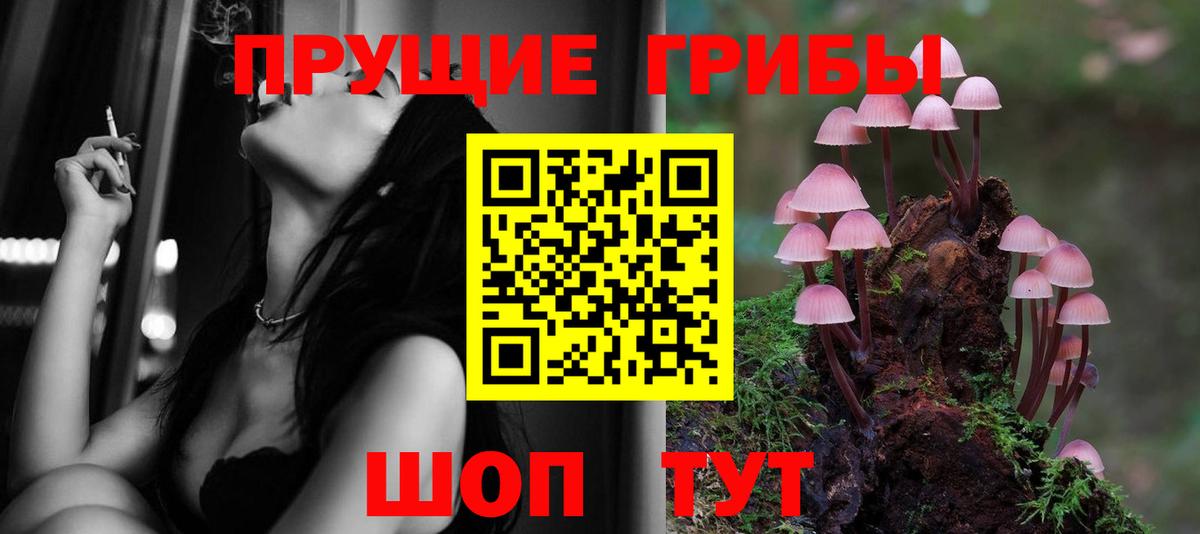 купить наркоту  Галлюциногенные грибы Psilocybine cubensis  Вход с VPN  Галлюциногенные грибы MAGIC MUSHROOMS  Тайшет 